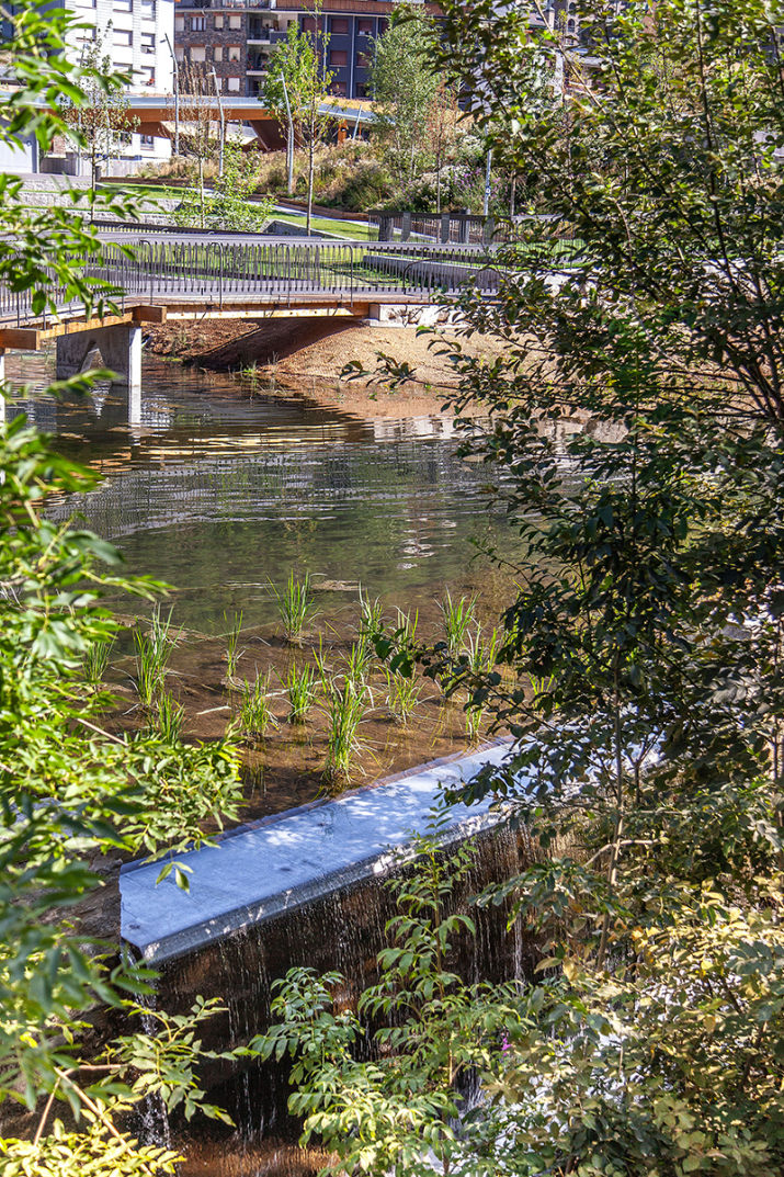 paisatgisme parc de l ossa amb llacuna i plantes aquatiques