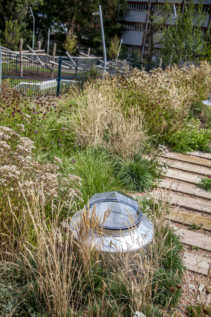 paisatgisme parc de l ossa amb plantes locas i pou de llum que illumina viaducte