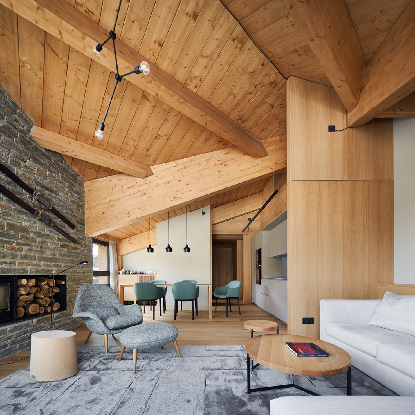 Sala estar amb coberta i estructura de fusta prefabircada, Edifici Malyon