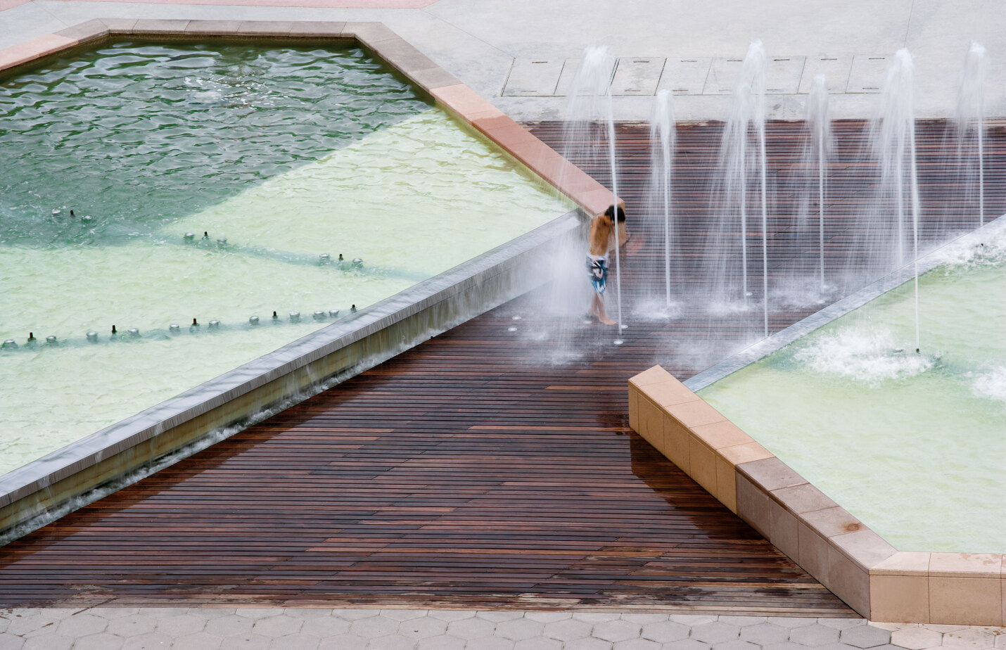 Parc del Pinar de Perruquet | Natura recuperada al front marítim