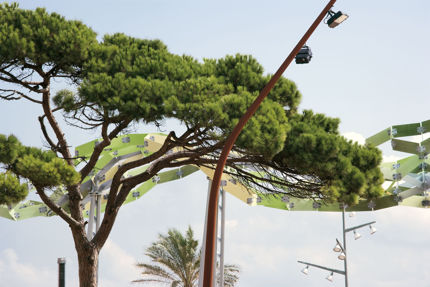 Parc del Pinar de Perruquet | Natura recuperada al front marítim