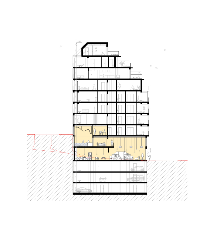 seccio doble alcada per entrada de llum en espais coliving